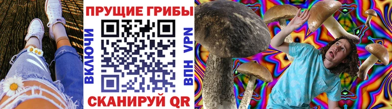 купить   Тейково  Галлюциногенные грибы мицелий 