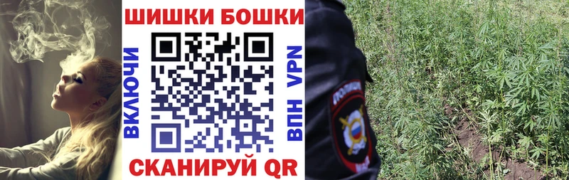 OMG вход  Тейково  Марихуана индика 